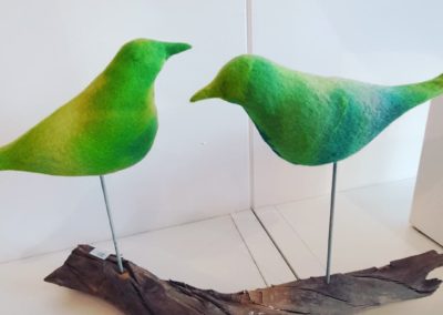 birds on driftwood
